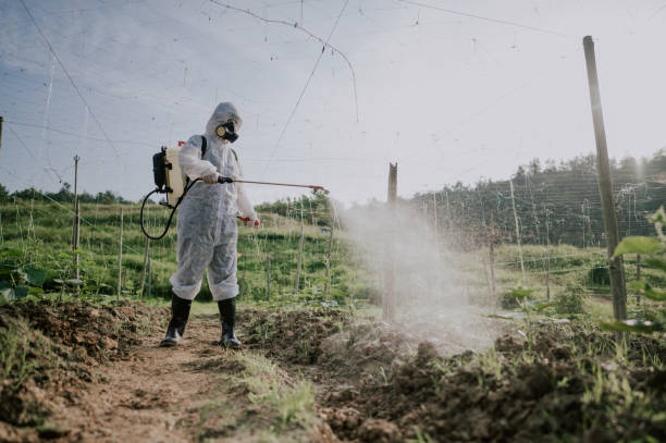 Pest Control Cost in Northlakes, NC