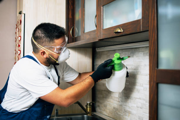 Best Best Pest Control Companies  in Northlakes, NC