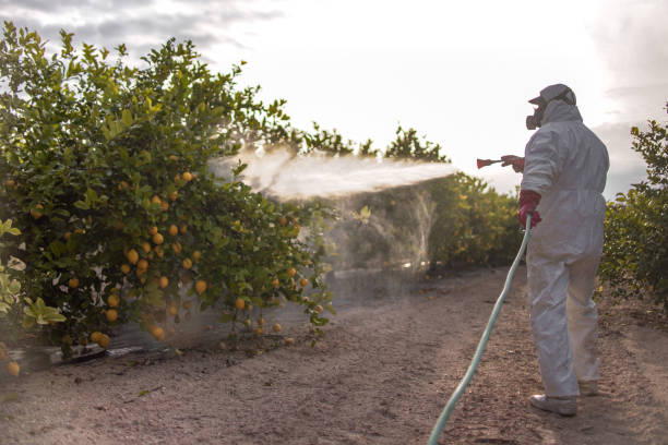 Best Mosquito Control Services  in Northlakes, NC