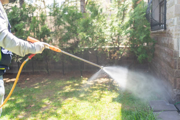 Insect Control in Northlakes, NC