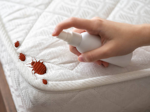 Best Best Pest Control Companies  in Northlakes, NC