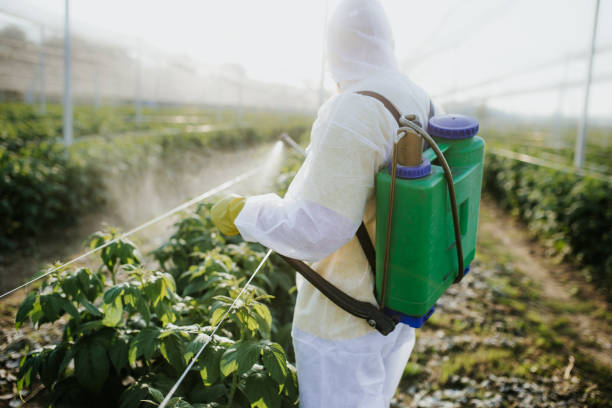 Northlakes, NC Pest Control Company